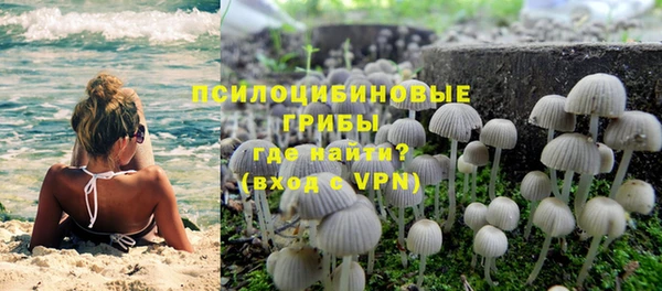 крисы Горно-Алтайск