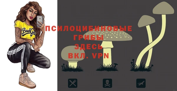 герыч Горняк