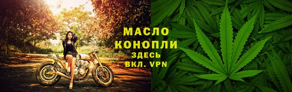 крисы Горно-Алтайск