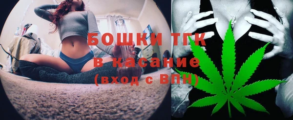тгк Горнозаводск