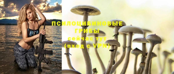 крисы Горно-Алтайск